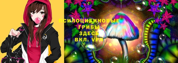 мдма Елизово