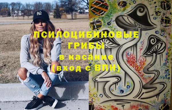 метамфетамин Ельня